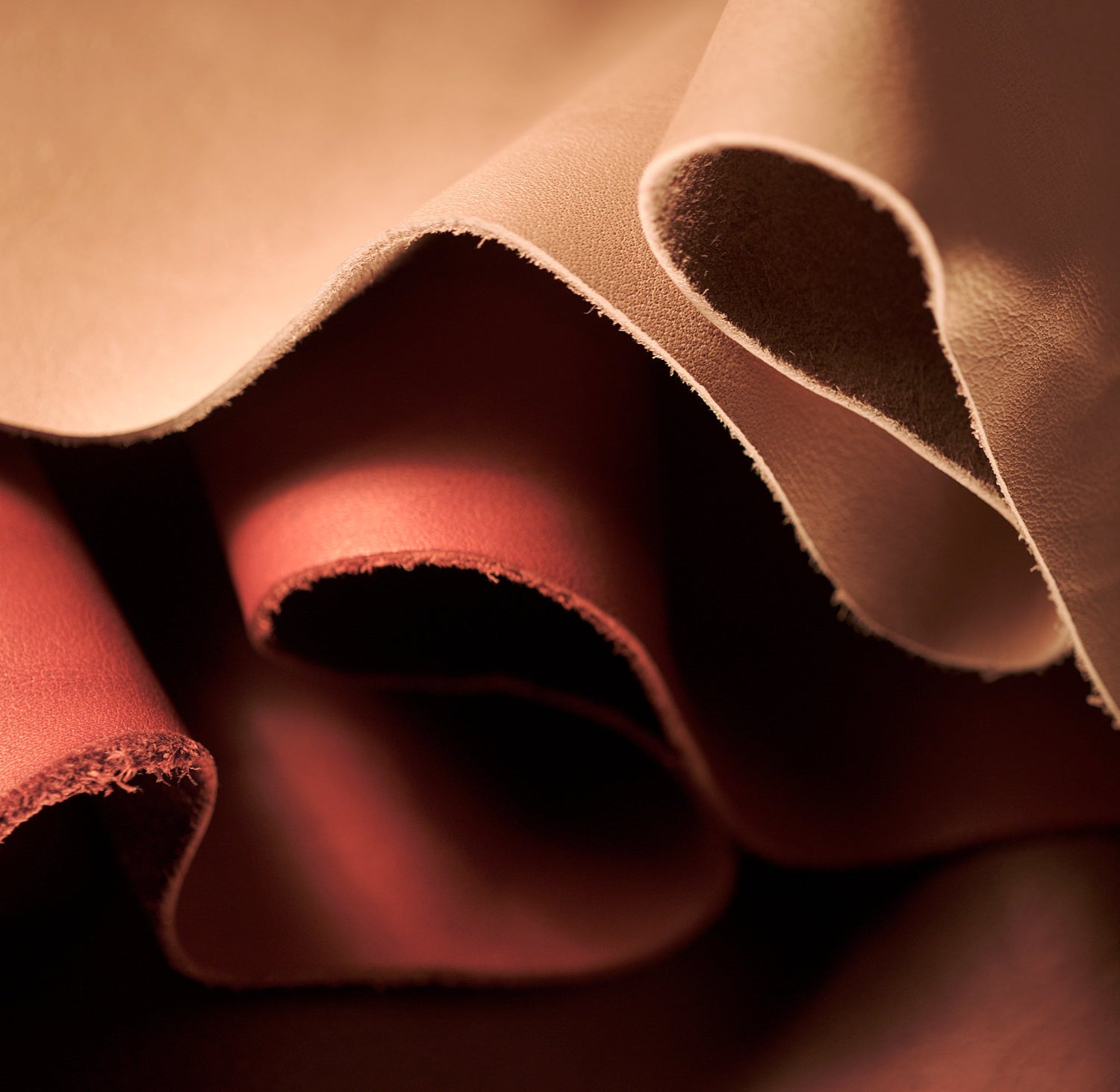 Material & Zubehör: Alles für dein Lederprojekt